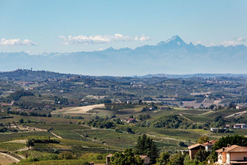 Appartement Cortese, Villa Pesce, Mombaruzzo - foto 19