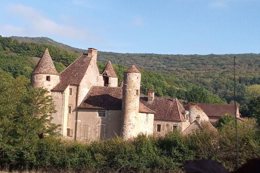 an der Weinstraße von Burgund - foto 22