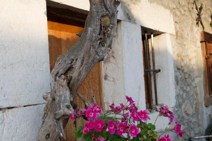 Wohnung "Gite du saladin" - foto 20