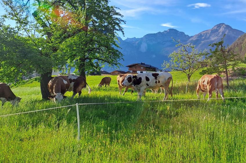 Chalet Anna - foto 14