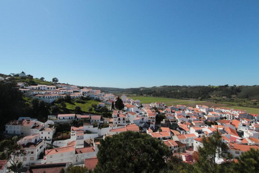 "The Natural Elements" - foto 16