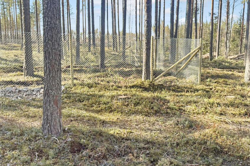 Kukkalahti - foto 2