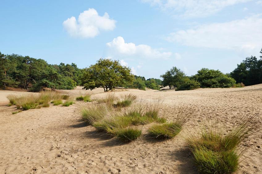 t Kaatsheuveltje 2 - foto 4