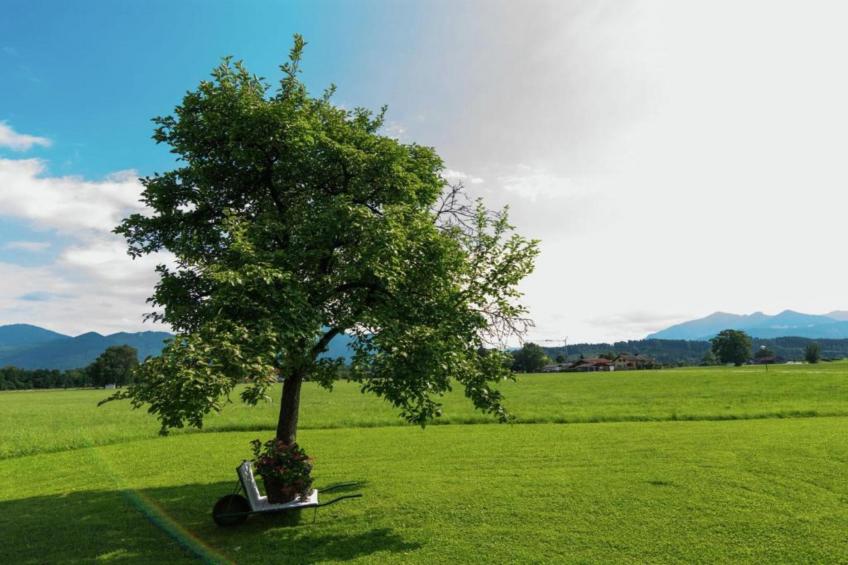 Im Bauernhaus - foto 31