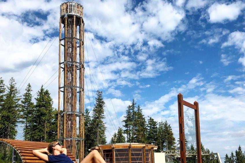 Chalet "Chestnut cottage" in den Bergen. - foto 12