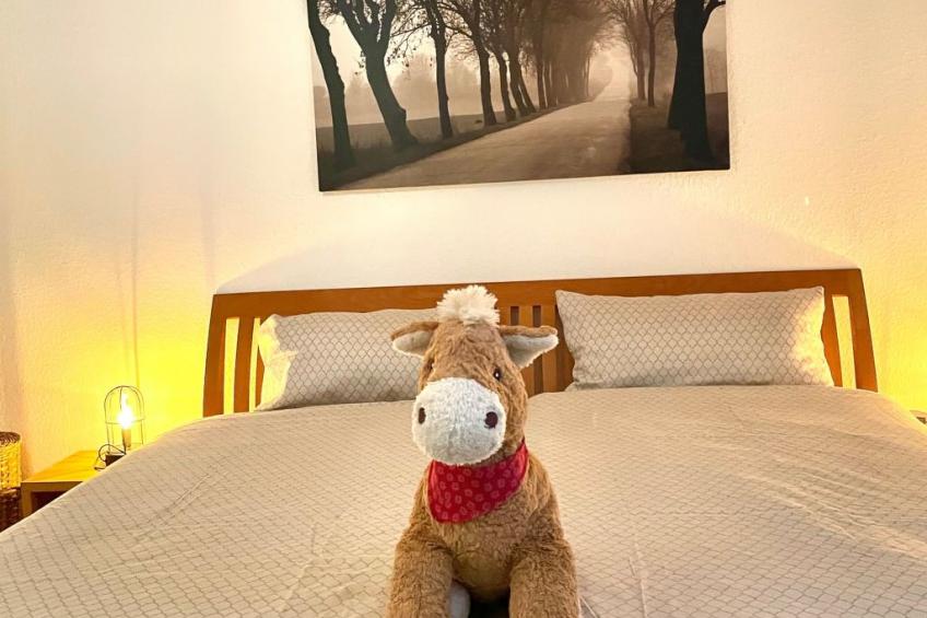 Im Herzen von OL - foto 2