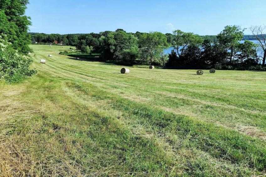 Ferienwohnung Weitblick - foto 29