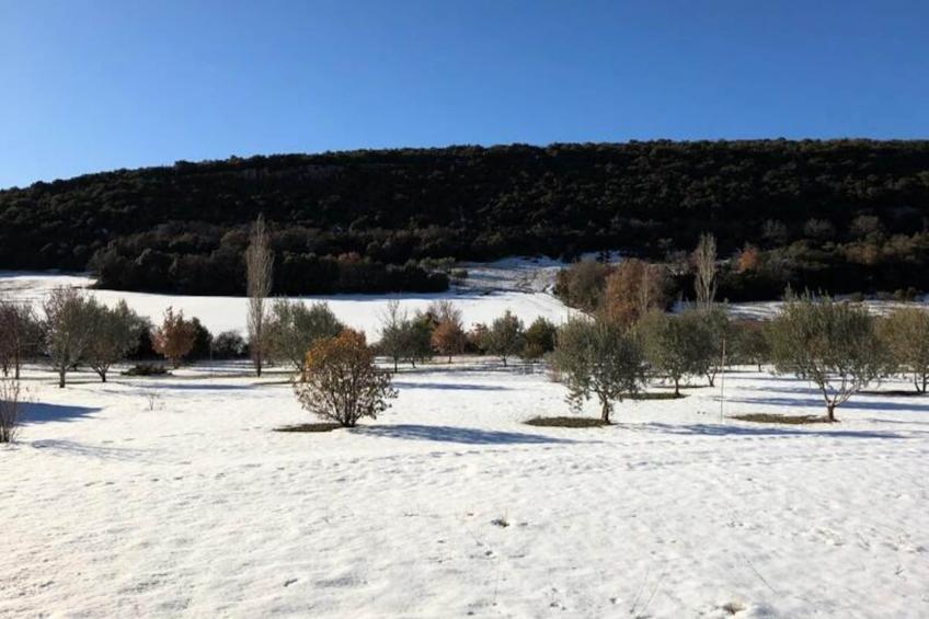 Mas La Miellerie | Charme Authentique Et Nature - foto 74