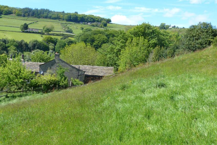 Gemütliches Ferienhaus für 2 Personen und 1 Kind - foto 2
