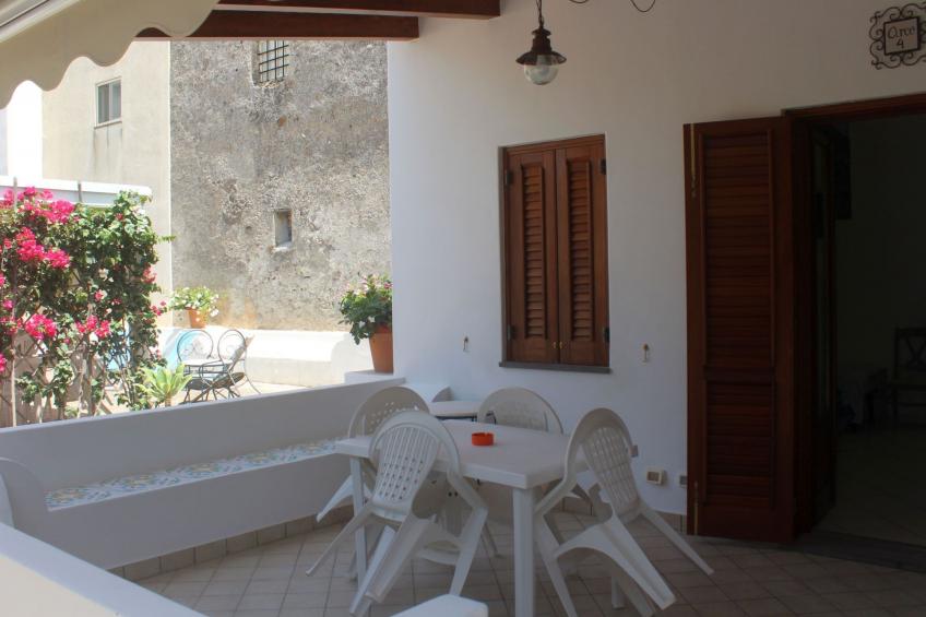 'Camelia ab 236 - foto 2