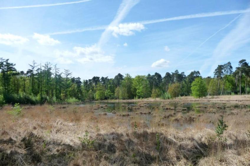 Luxe Lodges - foto 20