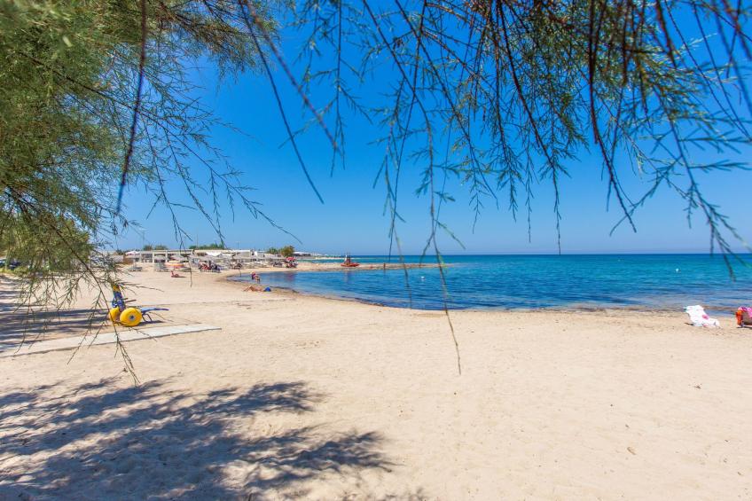 Flaches Meer aus Kiefernholz - foto 23