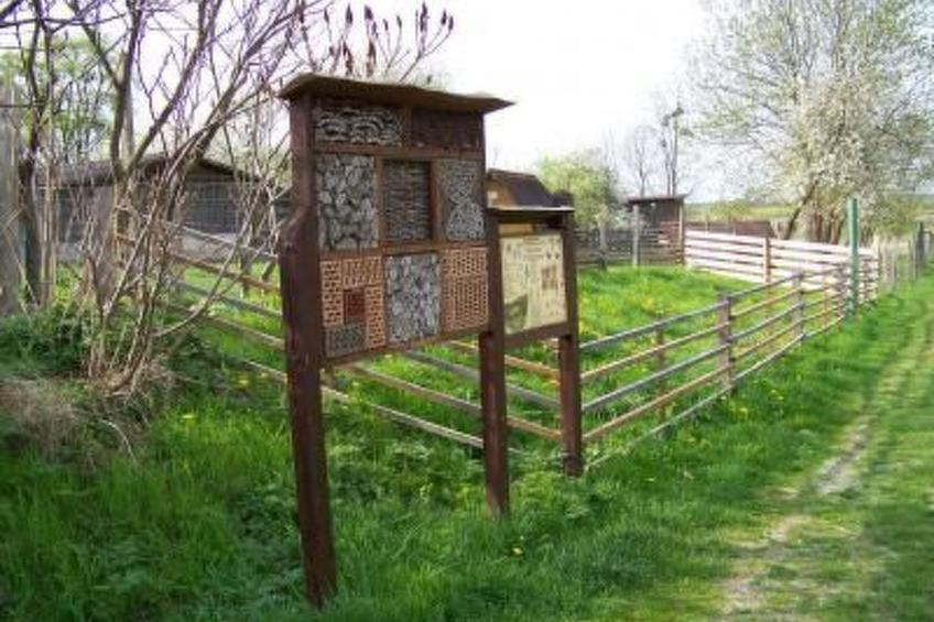 Alleenwiesen - foto 16