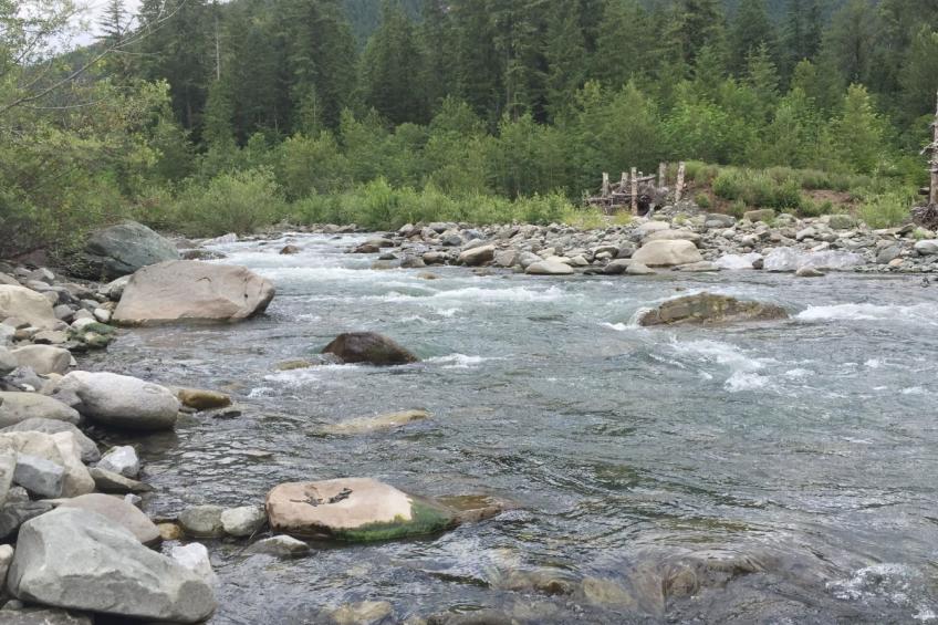 Moderne Hütte mit Whirlpool, Haustieren OK und Wi-Fi - foto 23