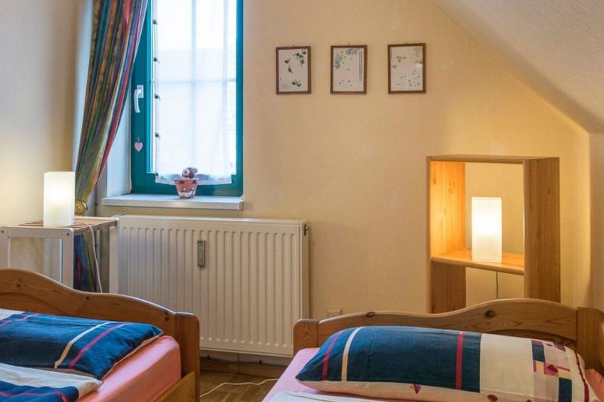 Löwenzahn mit Holu - foto 11