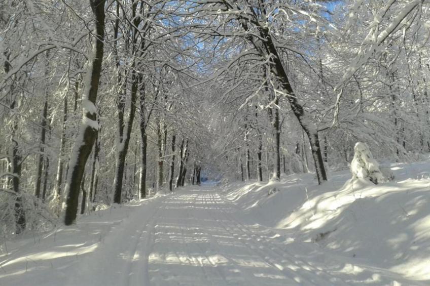 Ferienwohnung Silbecke - foto 28