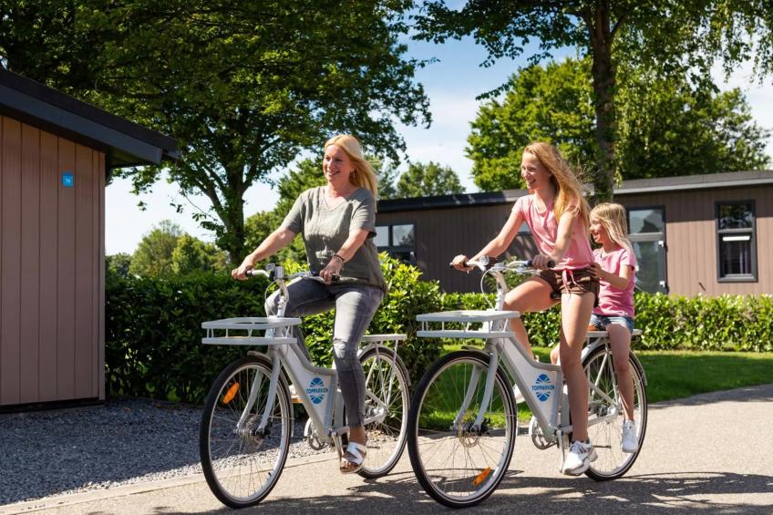 Holiday Home 4-person Wellness - foto 21