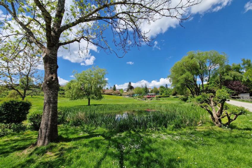 Lufs Loft für 6 Pers - foto 16