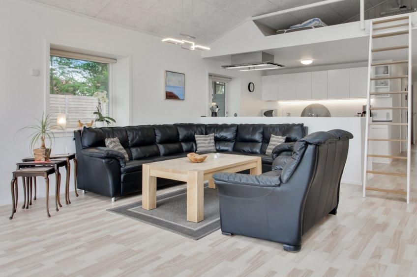 "Ajla" in Western Jutland - foto 33