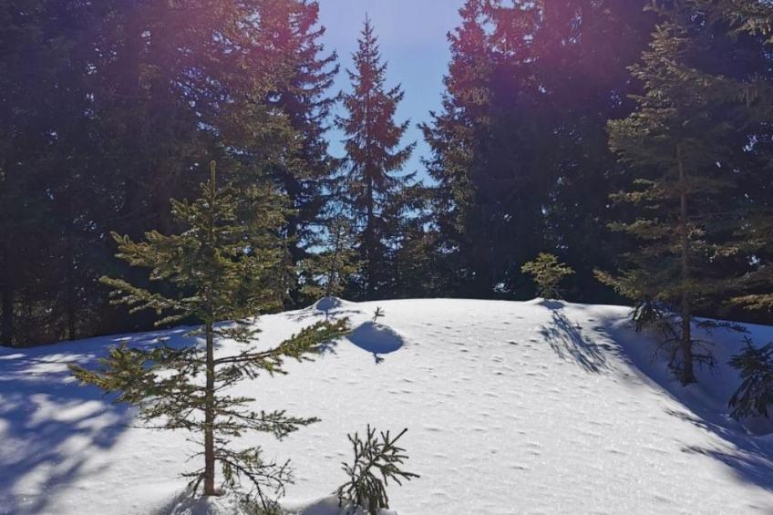 Jagdhütte - foto 38