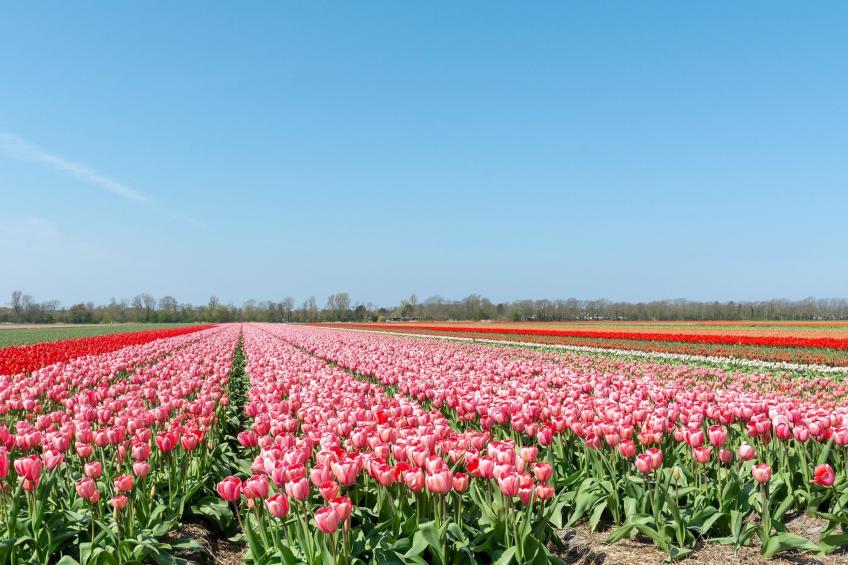 Vakantiehuisje Vloed - foto 23