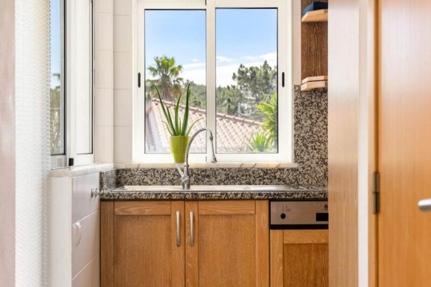 Duas Palmeiras - foto 28