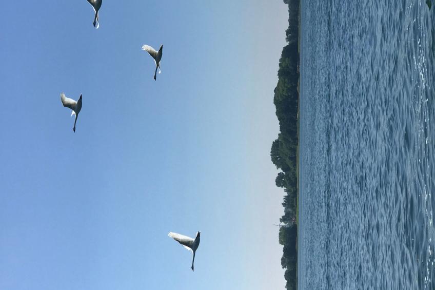 hygge hus, tolle Ostseelage, freier Blick auf Felder - foto 29