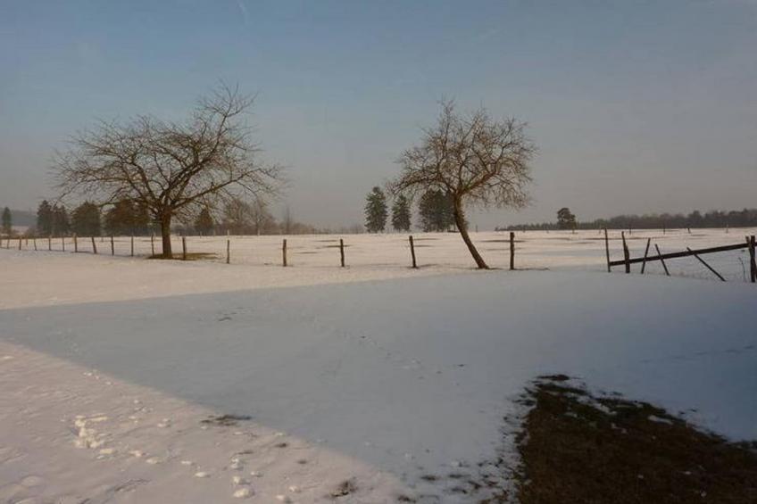 Les Pâturages 1 - foto 27