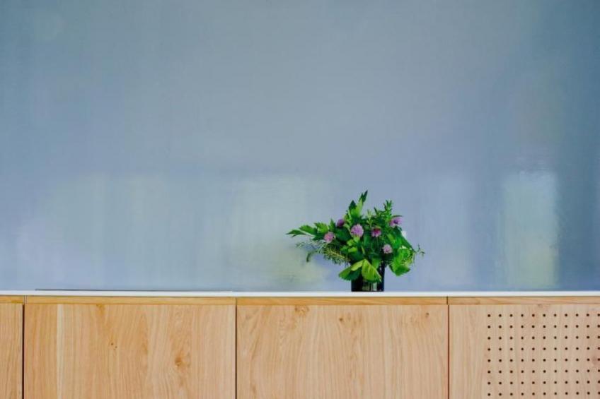 Baronessina - foto 19