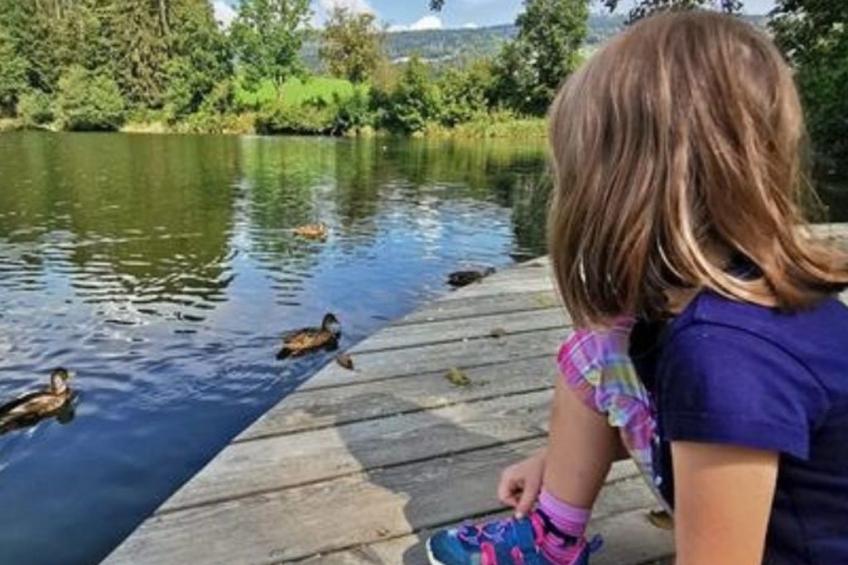 Wohnung mit möblierter Terrasse und Waldblick - foto 13
