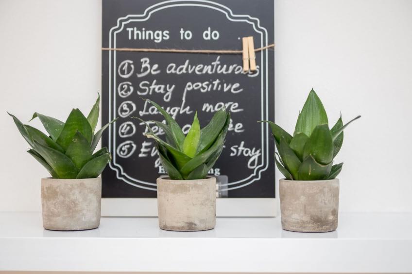 Rijeka Wohnungen "Studio Wohnung Terra II" - foto 16