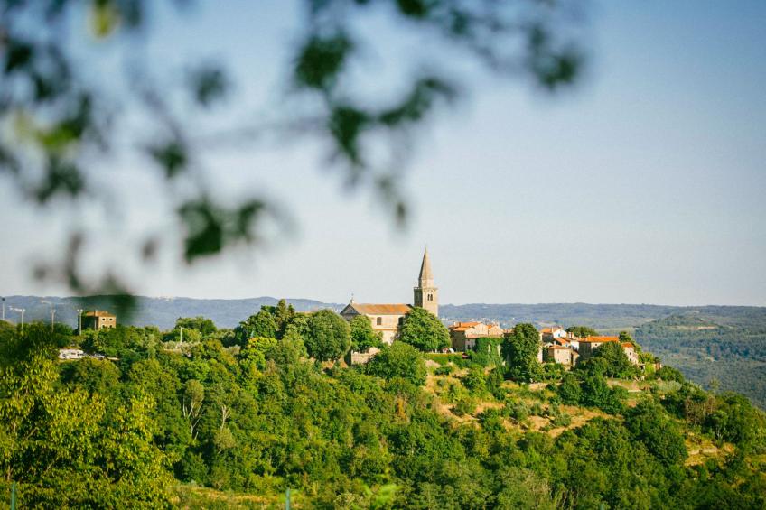 Margherita - foto 21