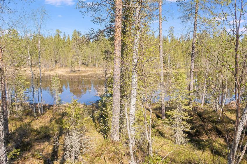 Kiehtäjän lahti - foto 3
