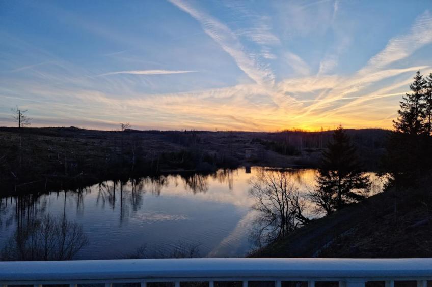 Ferienhaus in Hasselfelde - Haus 47 Blauvogel - foto 33