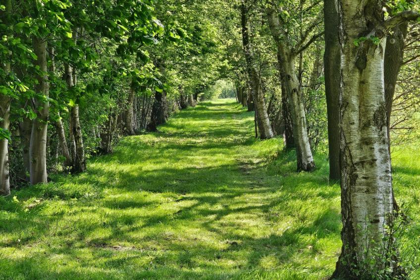 Luxuszeit zu Zweit - foto 34