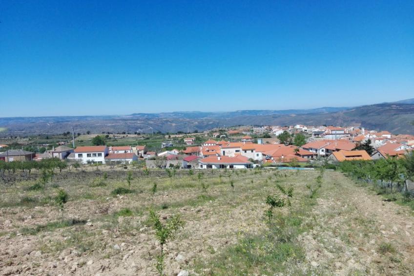 Träumende Aussichten im Douro - foto 40