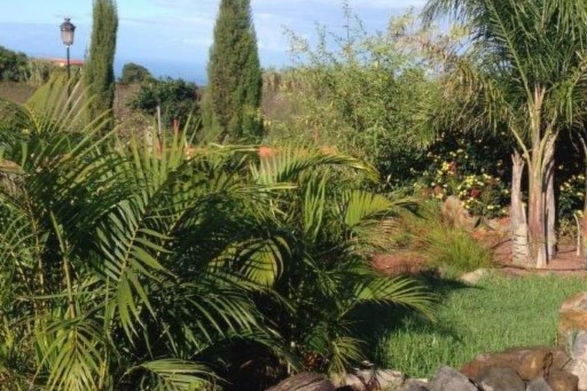 Finca Los Vinedos - foto 17