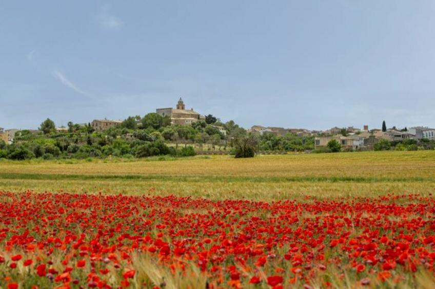 CA CLADERA  RAFAL ROIG - foto 39