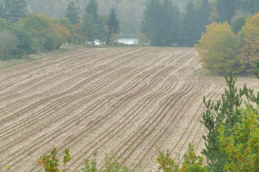 "Piia" - 800m from the sea in SE Jutland - foto 8