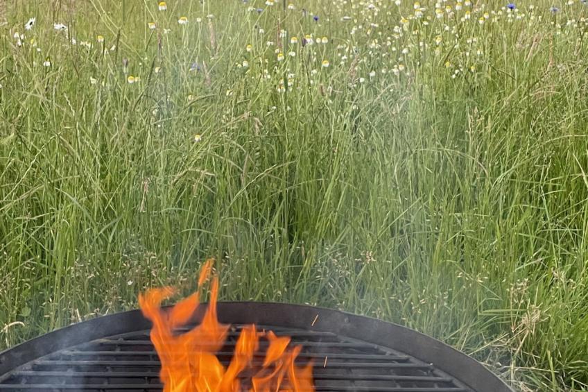 The Cornflower - foto 11