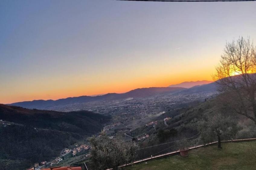 Caprioli - foto 34