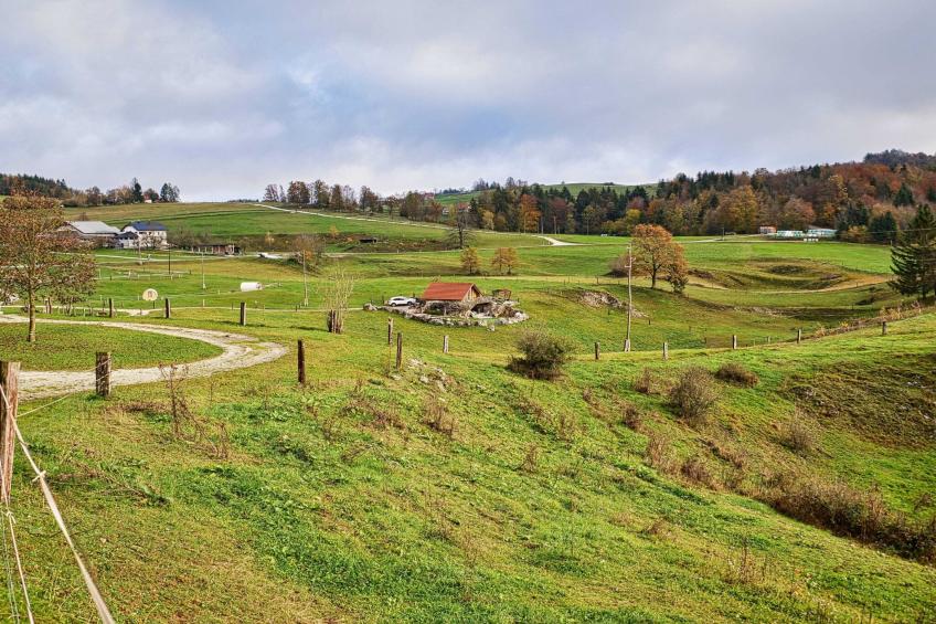 Visnja Gora Meadow Hideaway with Terrace - One Bedroom Cottage with Terrace (owner Hiška na skalci) - foto 55