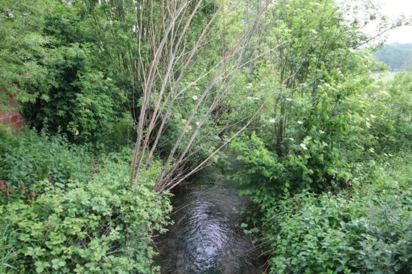 Gite Saint Julien - foto 29