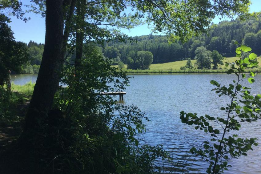 mit Panoramablick - foto 24