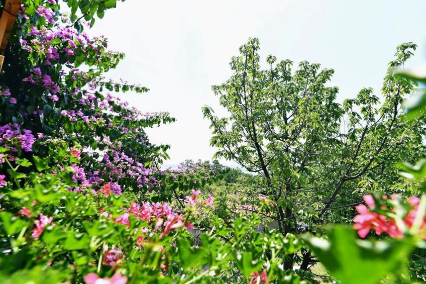 Scenic Retreat Rooms and Family Apartments - Double Room with Sea View 4 - foto 11