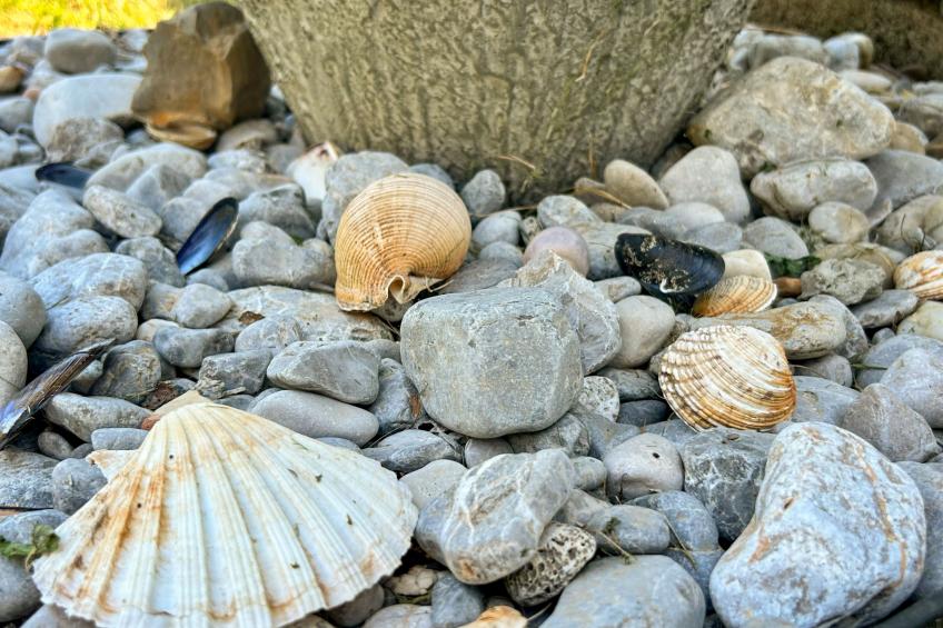 Villa Palma - foto 43