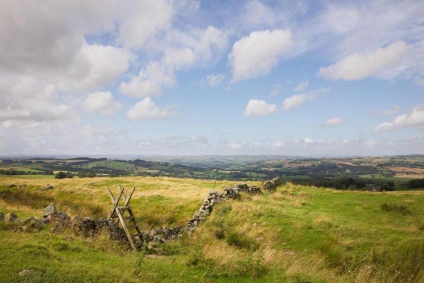 Humbleton Glamping - foto 29