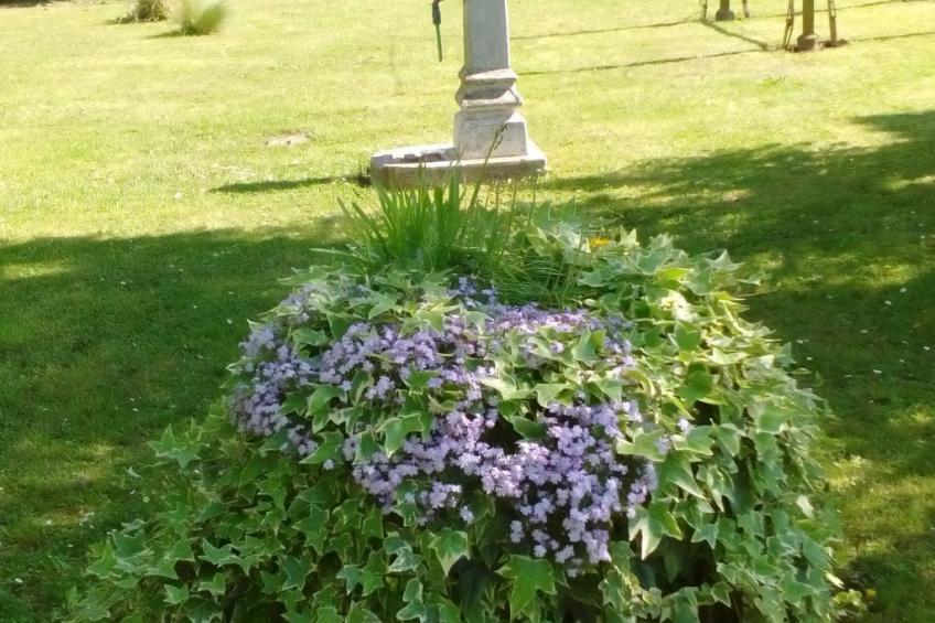 auf einem ummauerten Grundstück - foto 3