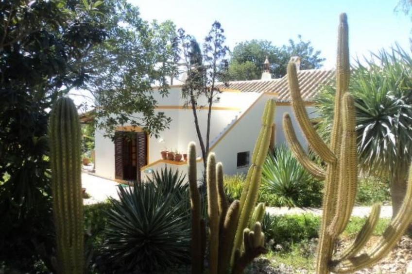 Landestypische Ferienfinca für die ganze Familie - foto 3