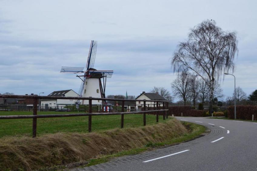 Wezel no 17 - foto 29